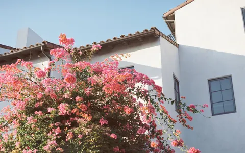 Laura Dietz, real estate agent in South Pasadena