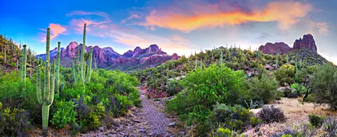 Betty Kerr, real estate agent in Yucca Valley