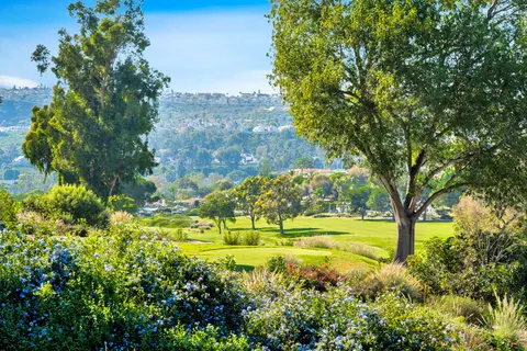 Bryan Suarez, real estate agent in Laguna Niguel