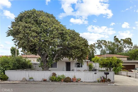 Ian Dyer, real estate agent in San Juan Capistrano