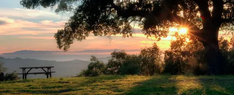 Sonya Frisina, real estate agent in Ojai